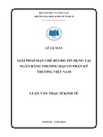 (Luận văn thạc sĩ) giải pháp hạn chế rủi ro tín dụng tại ngân hàng thương mại cổ phần kỹ thương việt nam 