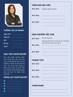 Tải Mẫu CV kế toán đẹp - HoaTieu.vn