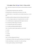 Tải Trắc nghiệm Tiếng Việt lớp 4 Tuần 14: Tiếng sáo diều - Giải bài tập Tiếng Việt lớp 4