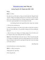 Tải Đề thi thử vào lớp 6 môn Tiếng Việt trường Nguyễn Tất Thành năm 2020 - 2021 - Đề thi tuyển sinh vào lớp 6