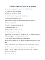 Tải Trắc nghiệm môn Ngữ văn 10 bài 28 - Trao duyên