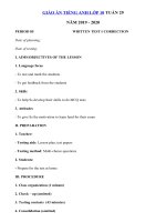 Tải Giáo án tiếng Anh lớp 10 Tuần 29 sách mới - Giáo án điện tử môn tiếng Anh 10 theo tuần