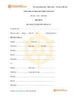 Tải Mẫu hợp đồng mua bán căn hộ chung cư - HoaTieu.vn