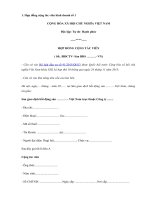 Tải Mẫu hợp đồng cộng tác viên kinh doanh - HoaTieu.vn