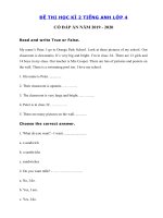 Tải Đề thi tiếng Anh học kì 2 lớp 4 năm 2019 - 2020 số 6 - Đề thi tiếng Anh lớp 4 học kỳ 2 có đáp án