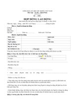 Tải Mẫu hợp đồng lao động năm 2021 - HoaTieu.vn