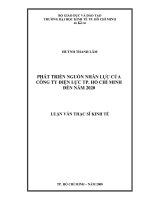 (Luận văn thạc sĩ) phát triển nguồn nhân lực của công ty điện lực TP HCM đến năm 2020 
