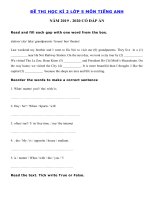 Tải Đề thi học kì 2 lớp 5 môn tiếng Anh năm 2019 - 2020 số 5 - Đề tiếng Anh lớp 5 học kì 2 có đáp án