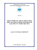 (Luận văn thạc sĩ) hoàn thiện kỹ thuật phân tích hiệu quả hoạt động kinh doanh tại công ty TNHH việt đức 