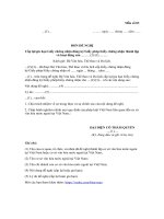 Tải Đơn xin gia hạn giấy phép hoạt động của cơ sở văn hóa nước ngoài tại Việt Nam - HoaTieu.vn