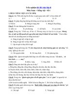 Tải Trắc nghiệm ôn thi vào lớp 6 môn Toán + Tiếng việt - Đề 1 - Đề thi vào lớp 6