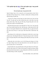 Tải Trắc nghiệm Hơn một nghìn ngày vòng quanh trái đất - Trắc nghiệm Tập đọc lớp 4