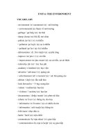 Tải Từ vựng Tiếng Anh lớp 9 Unit 6: The Environment - Từ vựng Tiếng Anh lớp 9 theo từng Unit