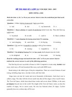 Tải Đề thi học kì 1 lớp 11 môn Tiếng Anh năm học 2018 - 2019 trường THPT chuyên Đại học Sư phạm Hà Nội - Đề kiểm tra học kì 1 môn Tiếng Anh lớp 11 có đáp án