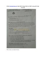 Tải Đề thi Toán lớp 8 học kì 2 năm 2020 Trường THCS & THPT Lương Thế Vinh, Cầu Giấy - Đề thi học kì 2 Toán 8