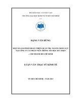 (Luận văn thạc sĩ) một số giải pháp hoàn thiện quản trị nguồn nhân lực tại công ty cổ phần viễn thông tin học bưu điện   chi nhánh hồ chí minh  