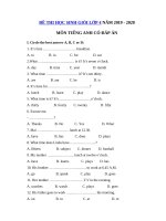Tải Đề thi học sinh giỏi lớp 4 môn Tiếng Anh năm học 2019 - 2020 - Đề thi học sinh giỏi tiếng Anh lớp 4 có đáp án