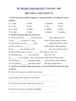 Tải Đề thi học sinh giỏi tiếng Anh lớp 3 năm 2019 - 2020 số 11 - Đề kiểm tra tiếng Anh lớp 3 có đáp án