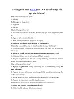 Tải Trắc nghiệm Vật lý 8 bài 19 - Các chất được cấu tạo như thế nào?