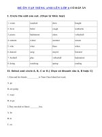 Tải Bài tập hè môn Tiếng Anh lớp 5 lên lớp 6 - Bài ôn tập tiếng Anh vào lớp 6 có đáp án