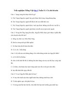 Tải Trắc nghiệm Tiếng Việt lớp 4 Tuần 11: Có chí thì nên - Giải bài tập Tiếng Việt lớp 4