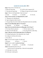 Tải Đề ôn tập Luyện từ và câu lớp 5 - Đề 4 - Câu hỏi trắc nghiệm môn Tiếng Việt 5