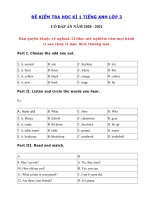 Tải Đề thi tiếng Anh lớp 3 học kì 1 có file nghe năm 2020 - 2021 - Đề thi học kì 1 lớp 3 môn tiếng Anh có đáp án