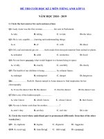 Tải Đề thi học kì 2 lớp 11 môn Tiếng Anh trường THPT Trần Nhân Tông năm học 2018 - 2019 - Đề thi học kì 2 môn Tiếng Anh lớp 11 chương trình mới