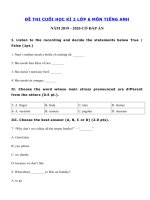 Tải Đề thi tiếng Anh lớp 6 học kì 2 năm 2019 - 2020 số 8 - Đề thi học kì 2 lớp 6 môn tiếng Anh có đáp án