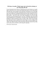 Tải Nghị luận xã hội 200 chữ về hiện tượng vứt rác bừa bãi ra đường và nơi công cộng - Bài văn mẫu nghị luận về hiện tượng vứt rác bừa bãi ra đường và nơi công cộng