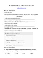 Tải Đề thi học sinh giỏi môn Tiếng Anh lớp 9 năm học 2018 - 2019 số 7 - Bồi dưỡng học sinh giỏi lớp 9 môn Tiếng Anh có đáp án