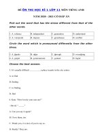 Tải Đề thi học kì 1 lớp 11 môn tiếng Anh năm 2020 - 2021 - Đề thi học kì 1 tiếng Anh 11 có đáp án