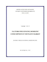 (Luận văn thạc sĩ) factors influencing domestic consumption in vietnams market 