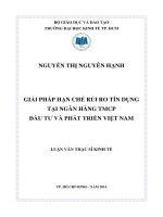 (Luận văn thạc sĩ) giải pháp hạn chế rủi ro tín dụng tại ngân hàng thương mại cổ phần đầu tư và phát triển việt nam 