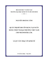 (Luận văn thạc sĩ) quản trị rủi ro tín dụng tại ngân hàng thương mại cổ phần ngoại thương việt nam   chi nhánh daklak 