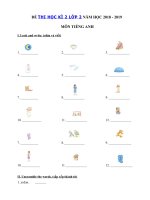 Tải Đề cương ôn tập học kì 2 môn Tiếng Anh lớp 2 năm 2019 - 2020 - Đề thi tiếng Anh lớp 2 học kỳ 2 có đáp án