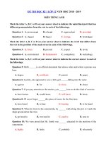 Tải Đề thi học kì 1 lớp 12 môn Tiếng Anh năm học 2018 - 2019 trường THPT Nguyễn Trãi - Đề kiểm tra học kì 1 môn Tiếng Anh lớp 12 có đáp án