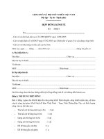 Mẫu hợp đồng kinh tế mới nhất