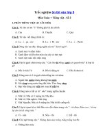 Tải Trắc nghiệm ôn thi vào lớp 6 môn Toán + Tiếng việt - Đề 2 - Đề thi vào lớp 6