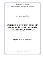 (Luận văn thạc sĩ) ảnh hưởng của biến động giá dầu lên các quyết định đầu tư chiến lược công ty  