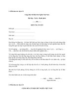 Tải Mẫu đơn xin việc cơ bản - HoaTieu.vn