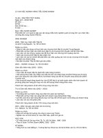 phát triển lên vị trí quản lý cấp cao vận dụng nhiều kinh nghiệm quản lý trong lĩnh vực nhãn hiệu