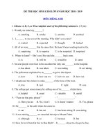 Tải Đề thi học sinh giỏi môn Tiếng Anh lớp 8 năm học 2018 - 2019 số 6 - Luyện thi học sinh giỏi lớp 8 môn Tiếng Anh