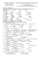 Tải Đề thi thử vào lớp 10 môn Tiếng Anh Sở GD&ĐT Vĩnh Phúc có đáp án - Đề luyện 20 - Đề ôn thi vào lớp 10 môn tiếng Anh có đáp án