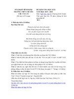 Tải Đề thi học kì 2 lớp 10 môn Ngữ văn Trường THPT chuyên Chu Văn An, Bình Định năm 2019 - 2020 (Đề 1) - Đề kiểm tra học kì 2 lớp 10 môn Văn