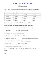 03 - Ôn tập tiếng Anh lớp 6 giữa học kì 2 có đáp án