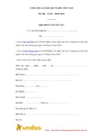 Tải Mẫu hợp đồng nguyên tắc - HoaTieu.vn