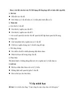 Tải Cách làm bài văn nghị luận xã hội (Dạng tổng hợp) - Dàn ý chi tiết cho bài văn nghị luận xã hội