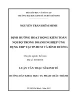 (Luận văn thạc sĩ) định hướng họat động kiểm toán nội bộ trong doanh nghiệp ứng dụng ERP tại TP  HCM và bình dương  