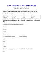 Tải Đề thi học kì 2 môn tiếng Anh lớp 6 năm 2019 - 2020 số 5 - Đề thi tiếng Anh lớp 6 học kì 2 có đáp án